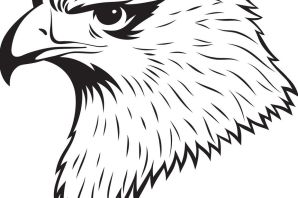 Голова орла рисунок