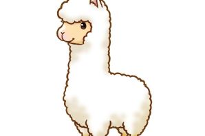 Лама рисунок карандашом