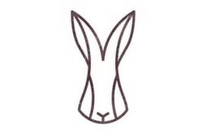 Лапка зайца рисунок