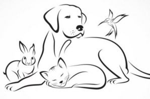 Котенок и щенок рисунок