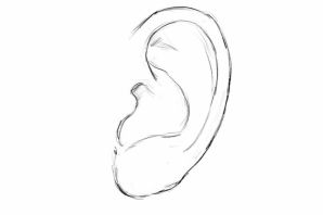 Ухо нарисованное