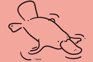 Утконос рисунок для детей