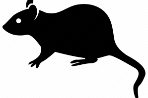 Мышь трафарет