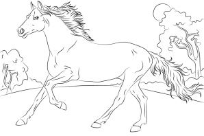 Красивые лошади раскраска