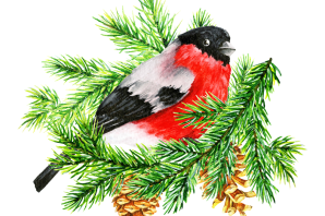 Снегирь детский рисунок