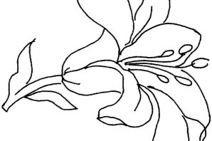 Трафареты для рисования