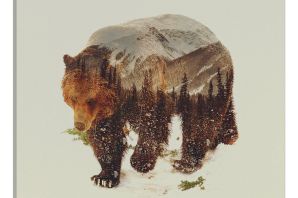 Рисунок медведь боком