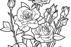 Детские раскраски цветы