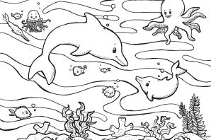Морские животные раскраска