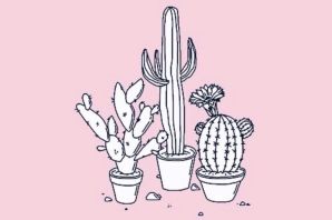Раскраска кактус в горшке