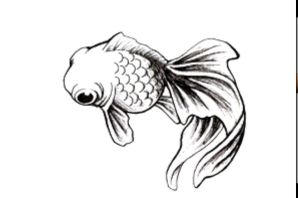 Две рыбки эскиз