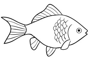 Карась раскраска для детей