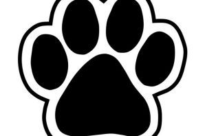 Рисунок кошачья лапка