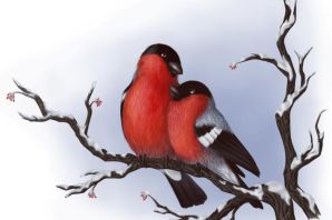 Пара снегирей рисунок