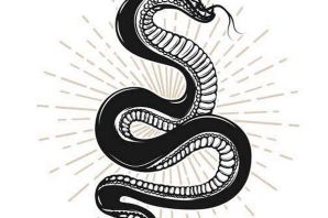 Эскиз змеи на руку
