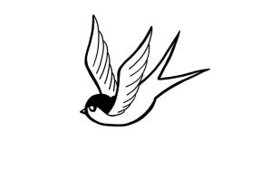 Гнездо ласточки раскраска