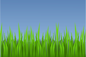 Трава рисунок для детей