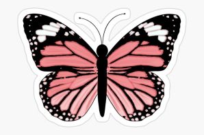 Рисунок бабочка детский