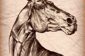 Голова коня рисунок