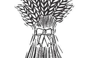 Солома рисунок