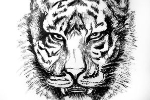 Простые эскизы тигра
