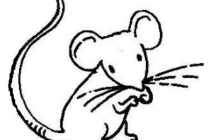 Мышка трафарет