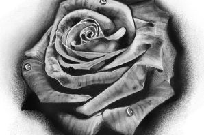 Эскиз розы на кисть