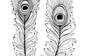 Перо жар птицы рисунок