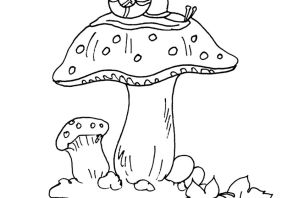 Раскраска грибы и ягоды