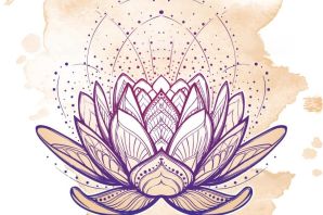 Цветок лотоса рисунок