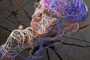 Рисунок нейронные связи