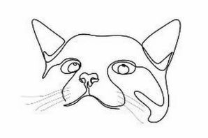 Кот эскиз легкий