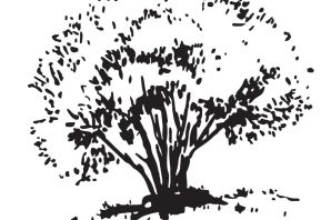 Куст трафарет