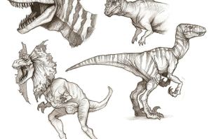 Раптор рисунок