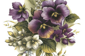 Рисунки цветов