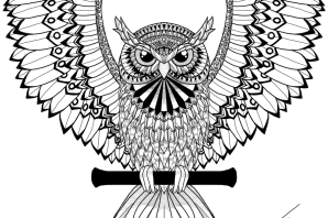 Филин трафарет