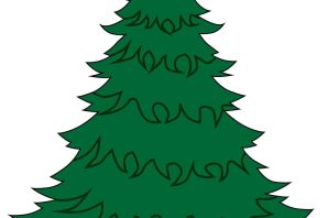 Рисунок йолки