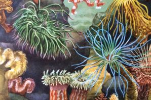 Рисунок актиния