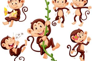 Обезьяна рисунок