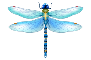 Стрекоза рисунок