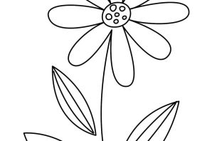 Ромашка раскраска