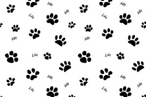 След кота рисунок