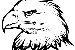 Орел рисунок легкий