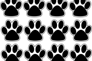 Рисунок лапа кошки