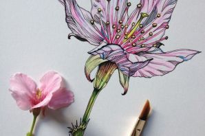 Нарисованный мак