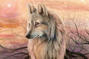 Рисунки волков