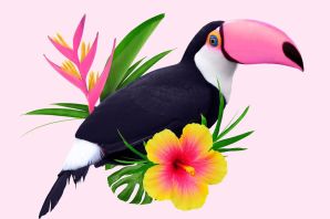 Рисунок тукан