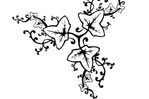 Рисунок плюща