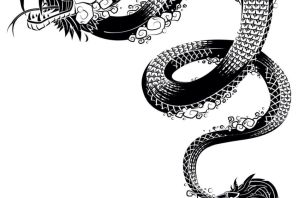 Змея весы эскизы