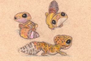 Раскраска эублефар